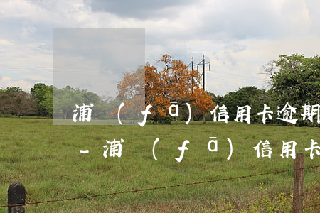 浦發(fā)信用卡逾期一天會不會上征信-浦發(fā)信用卡逾期一天會不會上征信記錄