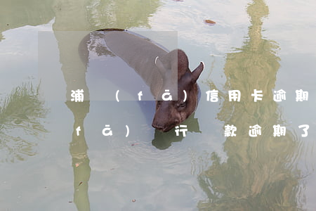 浦發(fā)信用卡逾期一天沒事吧(浦發(fā)銀行貸款逾期了一天會不會影響信用)