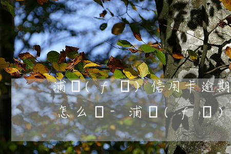 浦發(fā)信用卡逾期一小時(shí)怎么辦-浦發(fā)信用卡逾期一小時(shí)怎么辦啊