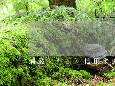 浦發(fā)信用卡逾期一年了