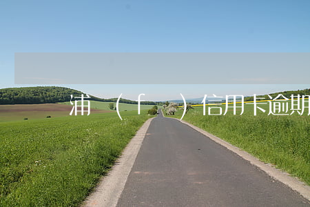 浦發(fā)信用卡逾期一年多少額度