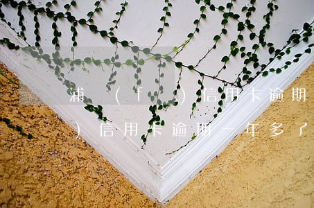 浦發(fā)信用卡逾期一年多(浦發(fā)信用卡逾期一年多了可以協(xié)商只還本金嗎)