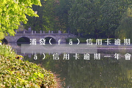 浦發(fā)信用卡逾期一年左右(浦發(fā)信用卡逾期一年會起訴嗎)