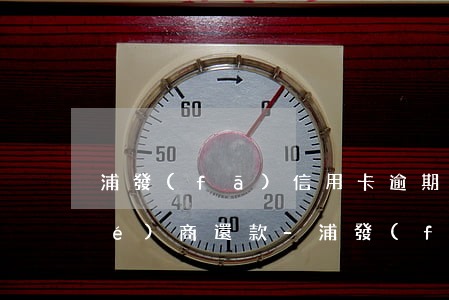浦發(fā)信用卡逾期一年怎么協(xié)商還款-浦發(fā)信用卡逾期一年怎么協(xié)商還款的