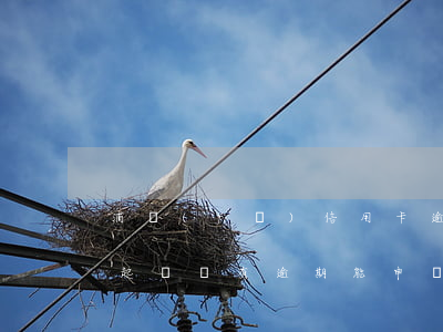 浦發(fā)信用卡逾期一年會(huì)起訴嗎(有逾期能申請(qǐng)浦發(fā)信用卡)