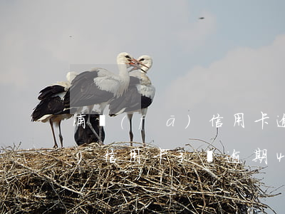 浦發(fā)信用卡逾期一晚上(浦發(fā)信用卡3萬逾期4個月)