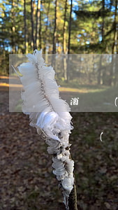 浦發(fā)信用卡逾期一期能不能用卡(浦發(fā)信用卡2000逾期三個(gè)月會(huì)怎么樣)