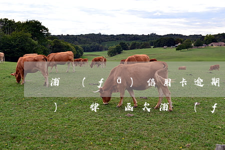 浦發(fā)信用卡逾期一期賬單發(fā)來律師函(欠浦發(fā)信用卡三萬元逾期幾個月會被起訴呢)