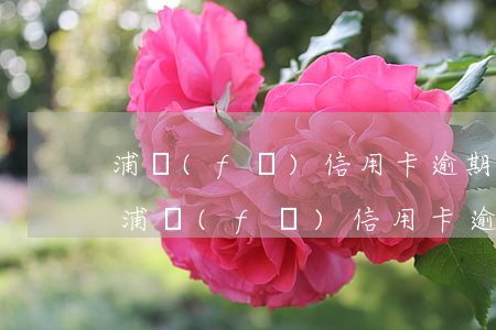 浦發(fā)信用卡逾期一次多久能提升-浦發(fā)信用卡逾期一次多久能提升額度