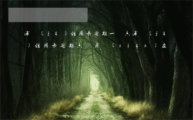 浦發(fā)信用卡逾期一萬六(浦發(fā)信用卡逾期六個月現(xiàn)在沒錢還了怎么辦)