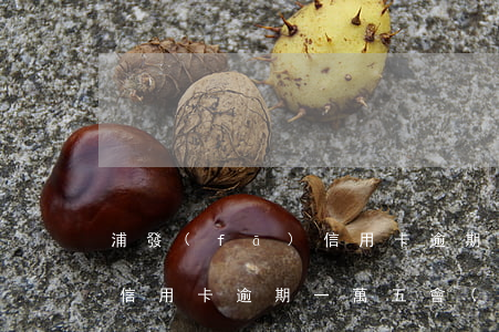 浦發(fā)信用卡逾期一萬(浦發(fā)信用卡逾期一萬五會(huì)承擔(dān)什么樣的法律責(zé)任)