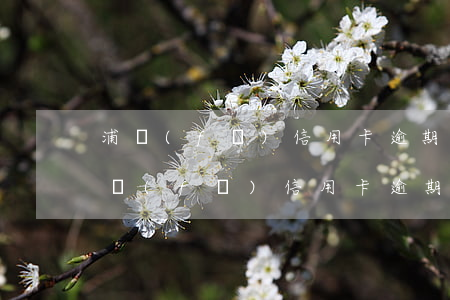 浦發(fā)信用卡逾期七個(gè)月(浦發(fā)信用卡逾期七個(gè)月了)