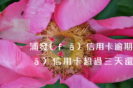 浦發(fā)信用卡逾期七天還款(浦發(fā)信用卡超過三天還款日要求還全款)