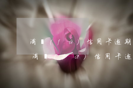 浦發(fā)信用卡逾期七小時(shí)(浦發(fā)信用卡逾期七小時(shí)上征信嗎)