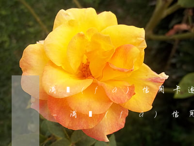 浦發(fā)信用卡逾期三個(gè)多月-浦發(fā)信用卡逾期三個(gè)多月了
