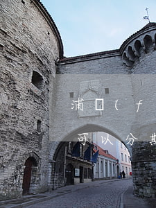 浦發(fā)信用卡逾期三個(gè)月還可以分期還嗎-浦發(fā)信用卡逾期三個(gè)月還可以分期還嗎