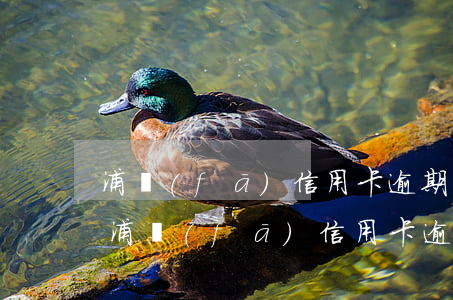 浦發(fā)信用卡逾期三個月說是結案-浦發(fā)信用卡逾期三個月說是結案了
