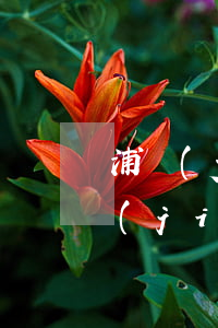 浦發(fā)信用卡逾期三個月賬戶被凍結(jié)-浦發(fā)銀行逾期3個月要起訴我怎么辦
