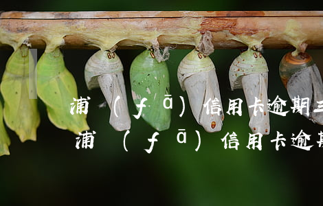 浦發(fā)信用卡逾期三個月還完恢復-浦發(fā)信用卡逾期三個月還完恢復額度了嗎
