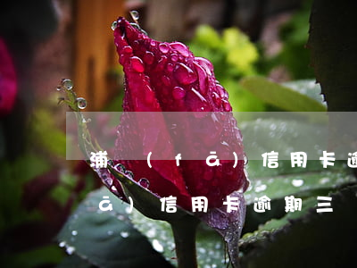 浦發(fā)信用卡逾期三個賬單(浦發(fā)信用卡逾期三個賬單)