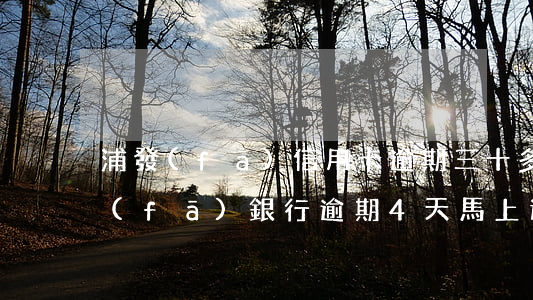 浦發(fā)信用卡逾期三十多天還款(浦發(fā)銀行逾期4天,馬上還款是否影響征信)