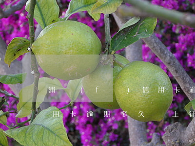 浦發(fā)信用卡逾期三天上征信嗎(交信用卡逾期多久會上征信)