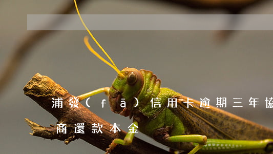 浦發(fā)信用卡逾期三年協(xié)商還款本金
