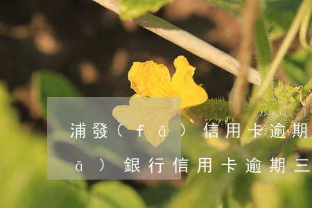 浦發(fā)信用卡逾期三月后果(浦發(fā)銀行信用卡逾期三天會(huì)有不良記錄嗎)