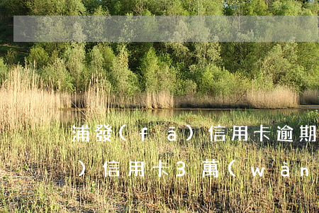 浦發(fā)信用卡逾期三期了 浦發(fā)信用卡3萬(wàn)逾期4個(gè)月