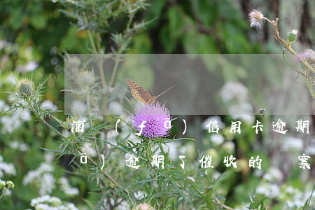 浦發(fā)信用卡逾期上門催款(浦發(fā)逾期了催收的說案子已經(jīng)交了說上門)