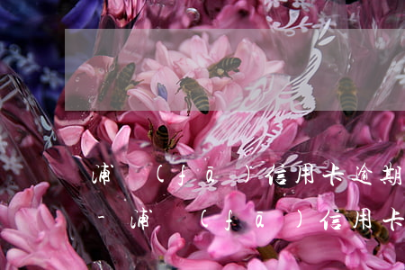浦發(fā)信用卡逾期不到一個月怎么辦-浦發(fā)信用卡逾期不到一個月怎么辦理