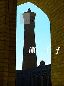 浦發(fā)信用卡逾期不想還了