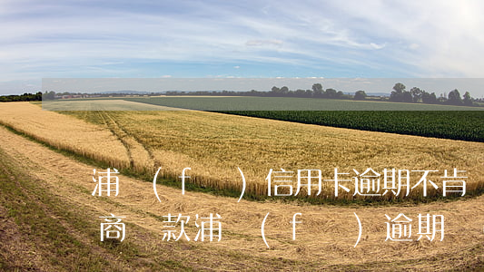 浦發(fā)信用卡逾期不肯協(xié)商還款(浦發(fā)逾期協(xié)商還款只給一年時間卡還不能用)