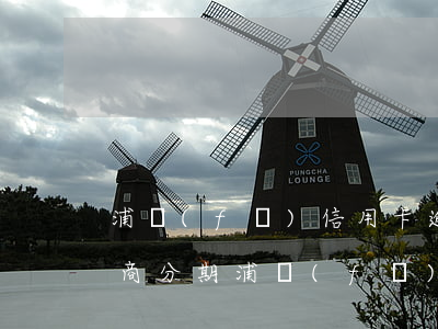 浦發(fā)信用卡逾期不讓協(xié)商分期(浦發(fā)逾期3個月,減免協(xié)商分期,不成功怎么辦)