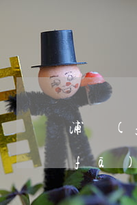 浦發(fā)信用卡逾期不還會怎樣(浦發(fā)信用卡逾期不還會怎樣)