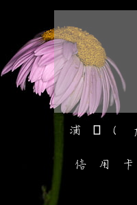 浦發(fā)信用卡逾期九天(浦發(fā)信用卡3天算逾期嗎)