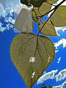 浦發(fā)信用卡逾期亂爆通訊錄(浦發(fā)信用卡逾期亂爆通訊錄)
