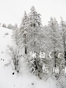 浦發(fā)信用卡逾期了一周(浦發(fā)信用卡3天算逾期嗎)