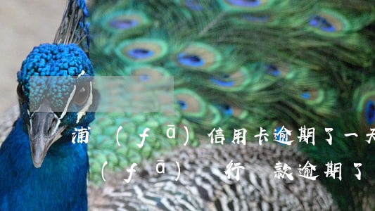 浦發(fā)信用卡逾期了一天會上征信 浦發(fā)銀行貸款逾期了一天會不會影響信用