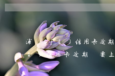 浦發(fā)信用卡逾期了上門嗎(浦發(fā)信用卡逾期說要上門收 是的還是假的)