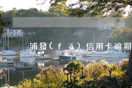 浦發(fā)信用卡逾期了不扣儲蓄卡錢了