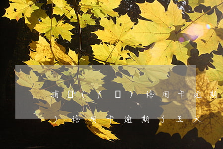 浦發(fā)信用卡逾期了五天(浦發(fā)信用卡逾期了五天)