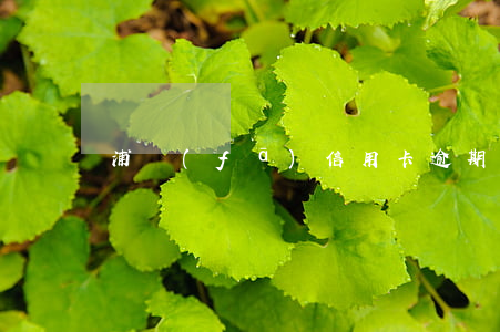 浦發(fā)信用卡逾期了凍卡