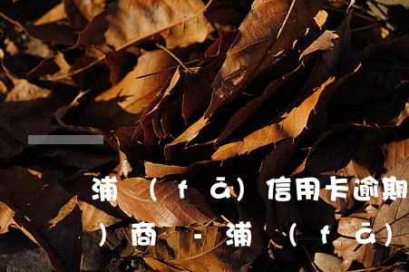 浦發(fā)信用卡逾期了可以協(xié)商嗎-浦發(fā)逾期半個月還是還不上要怎么協(xié)商