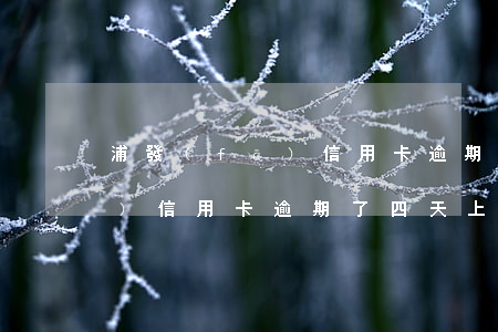 浦發(fā)信用卡逾期了四天(浦發(fā)信用卡逾期了四天上征信嗎)