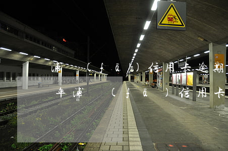 浦發(fā)信用卡逾期了怎么還(2021年浦發(fā)信用卡逾期新法規(guī))