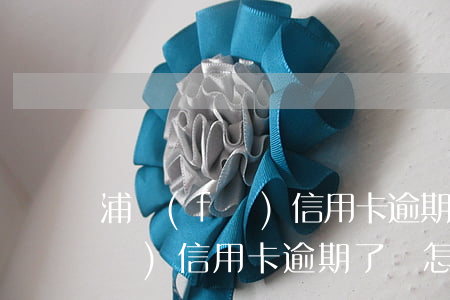 浦發(fā)信用卡逾期了會怎樣(浦發(fā)信用卡逾期了會怎樣)
