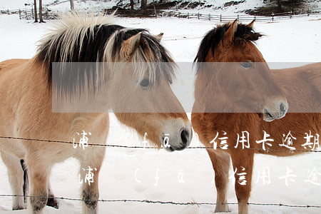 浦發(fā)信用卡逾期了還最低還款6-浦發(fā)信用卡逾期了還最低還款還是直接掛賬停息