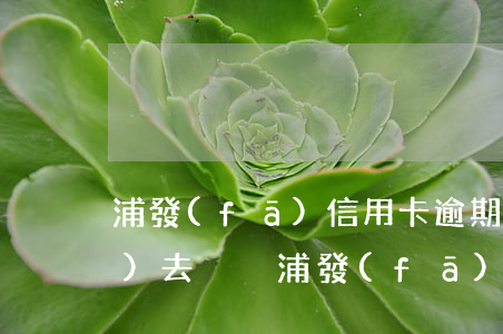 浦發(fā)信用卡逾期了錢還進(jìn)去沒減(浦發(fā)逾期2年,一直不催我還錢是什么情況)