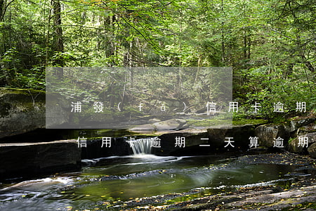 浦發(fā)信用卡逾期二天(浦發(fā)信用卡逾期二天算逾期嗎)